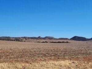 Elephant Hills