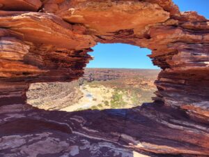 Nature's Window